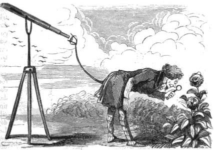 Phalanstérien qui regarde une feuille Phalanstérien étudiant la botanique en même temps que l'astronomie. - cCaricature de 1848-1849. 