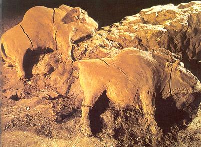 Grotte de Tuc d'Audubert. Sculpture de bisons. 